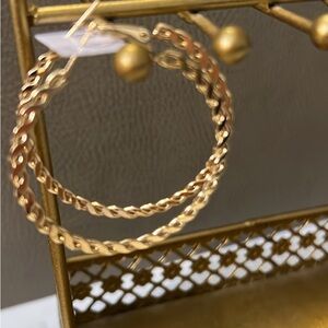 Elegant Gold Hoop Earrings